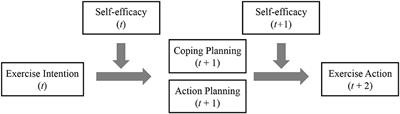 Linking Exercise Intention to Exercise Action: The Moderating Role of Self-Efficacy
